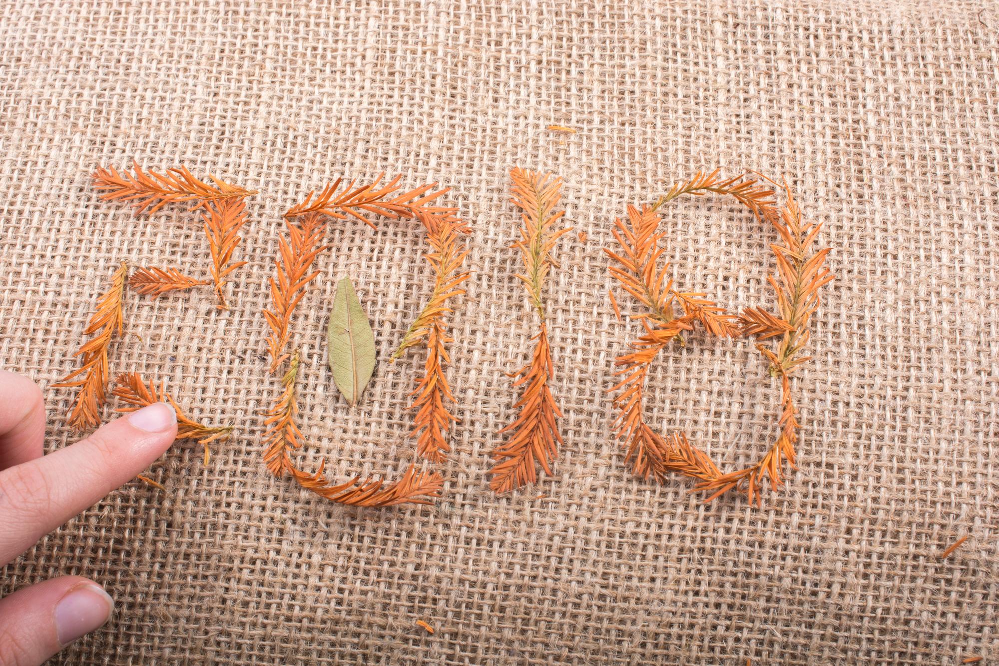 Close-up of hand embroidering floral motif on linen